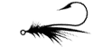 fly