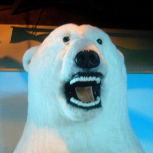 Polar Bear