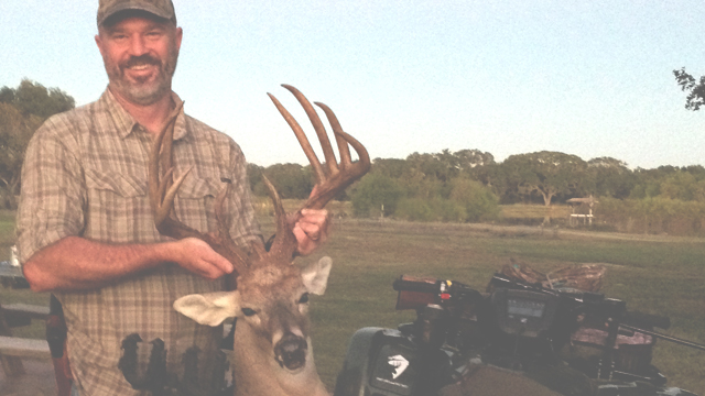 3 antlered deer