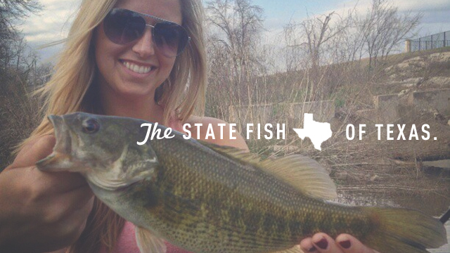 The State Fish of Texas