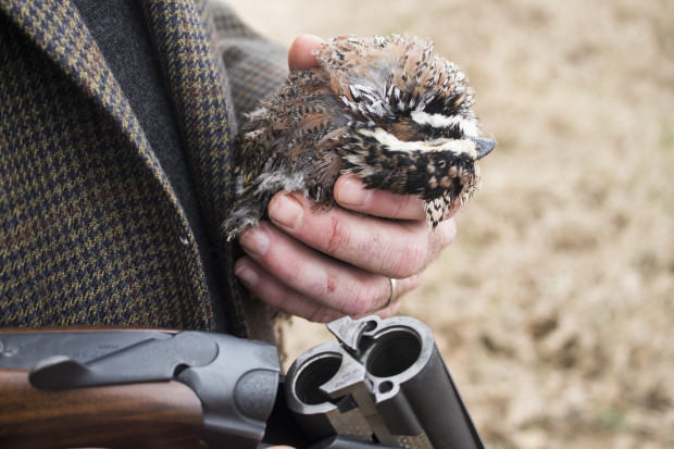 Tweed Hunt