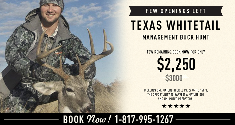 Texas Whitetail Deer Hunt